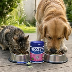 Prozym Plaque Off Poudre pour Chien et Chat
