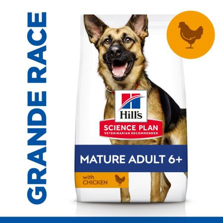 CROQUETTES CHIEN SCIENCE PLAN ADULT MATURE 6+ GRANDE RACE POULET - HILL'S