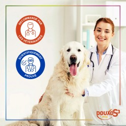 DOUXO S3 PYO Shampoing 200 ml - Antiseptique Chien et Chat