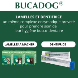 Bucadog Lamelles Dentaires Chien OSALIA
