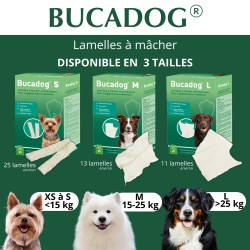 Bucadog Lamelles Dentaires Chien OSALIA