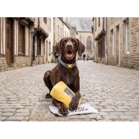 Jouet Chien Beurre Salé - Peluche Bretonne avec Couineur