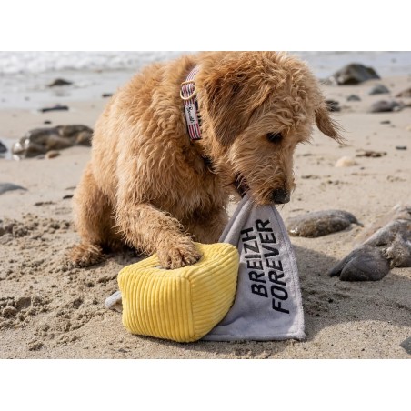 Jouet Chien Beurre Salé - Peluche Bretonne avec Couineur