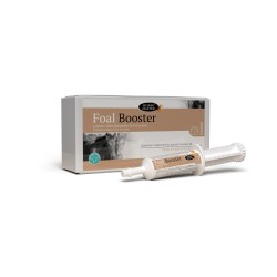 FOAL BOOSTER - HORSE MASTER