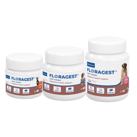Floragest Virbac - Complément Digestif pour Chien S, M et L