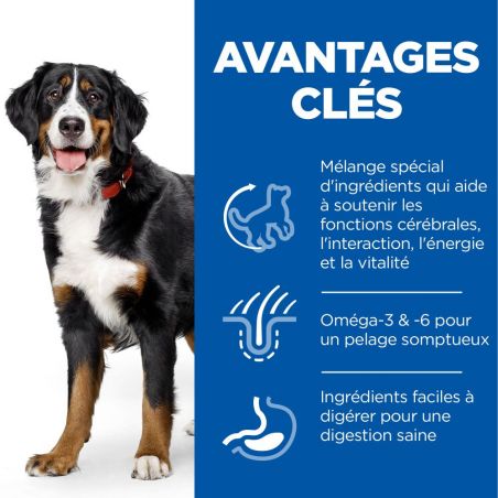 CROQUETTES CHIEN SCIENCE PLAN 6+ SENIOR VITALITY LARGE - HILL'S