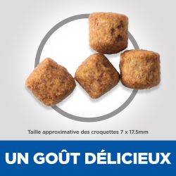 CROQUETTES CHIEN SCIENCE PLAN 6+ SENIOR VITALITY LARGE - HILL'S