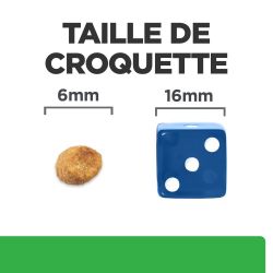 CROQUETTES CHAT ADULT PRESCRIPTION DIETS R/D WEIGHT LOSS - HILL'S