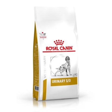 Croquettes chien VETERINARY DOG URINARY S O - Royal Canin
