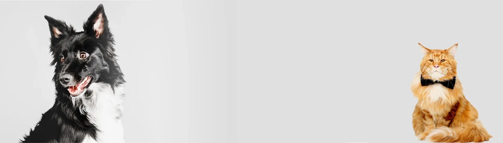 Les bons plans Nutricroc